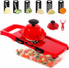 10 in 1 Mandoline Slicer Vegetable Cutter with Stainless Steel Blade